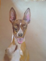 /album/galerie-photos/copie-de-photo-700-jpg/